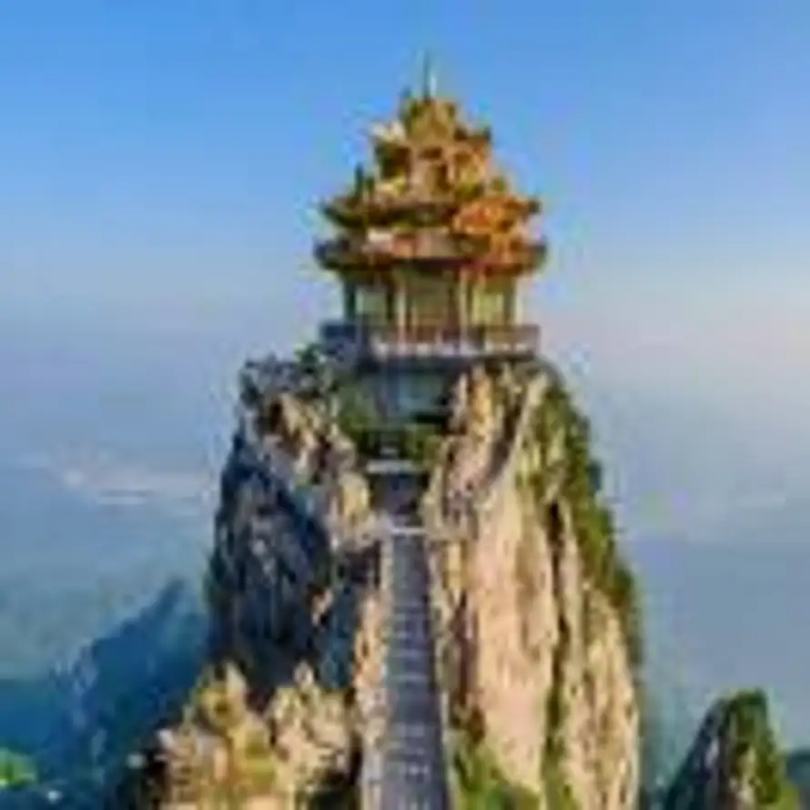 文特的头像