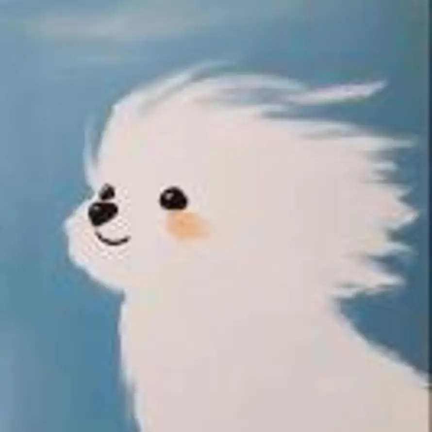 Wind的头像