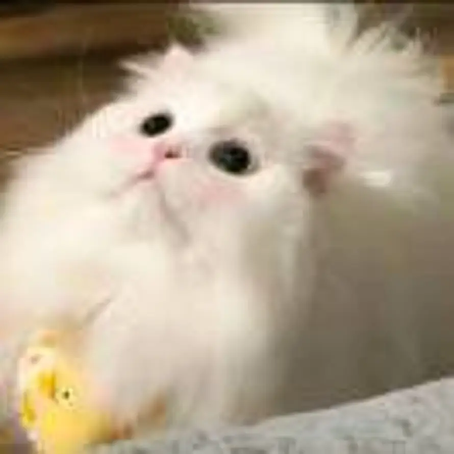 溪溪的头像
