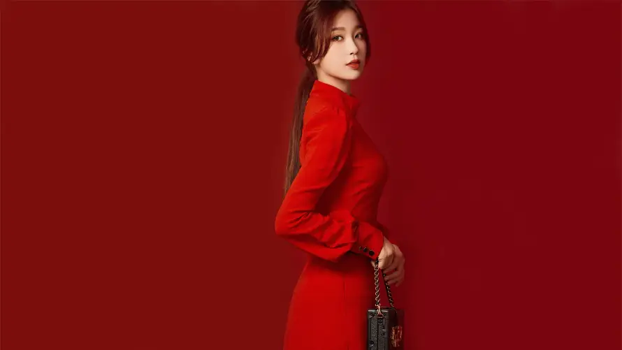 2k时尚壁纸-手提包壁纸和红色-红色背景壁纸推荐「哲风壁纸」