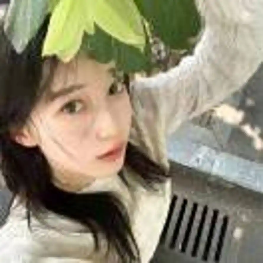 见春天的头像