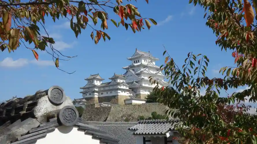 4k建筑壁纸 - 红叶 - 蓝天 - 风景「哲风壁纸」