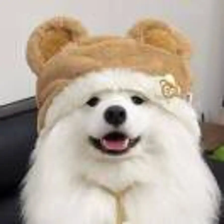 。的头像