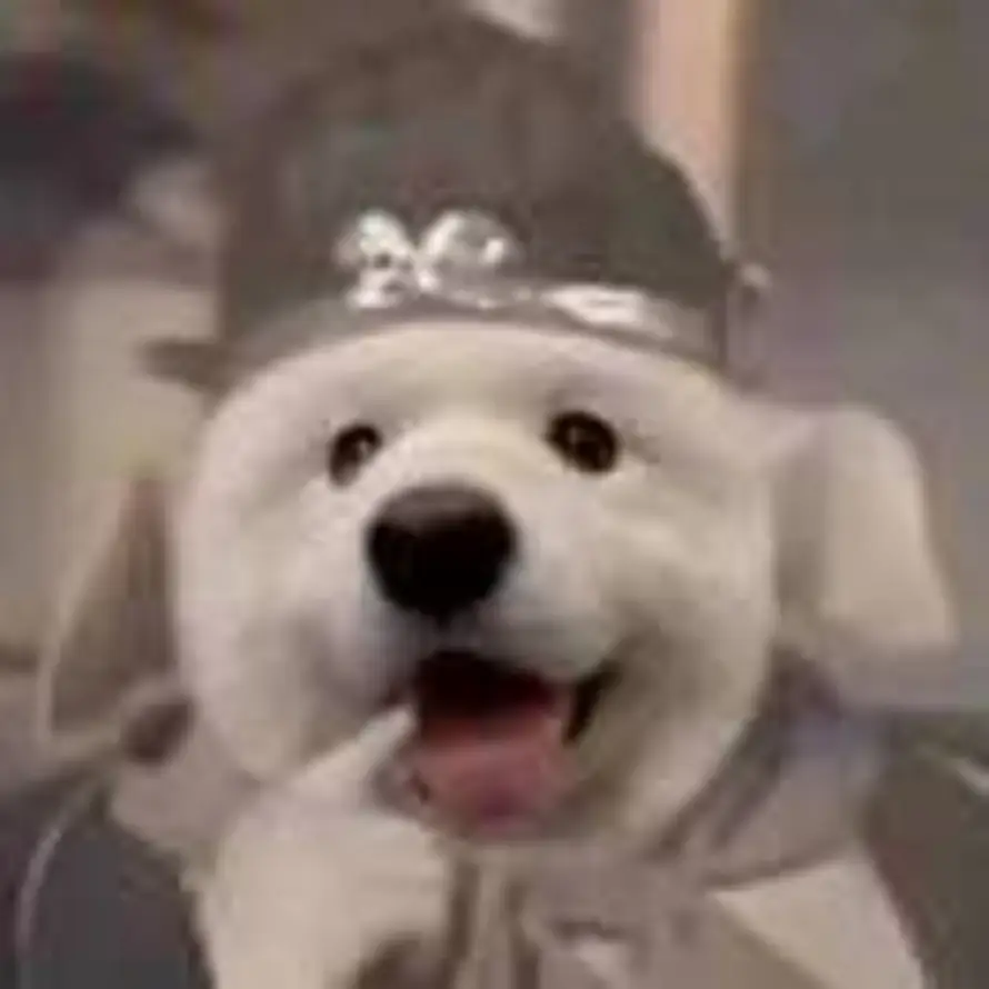 null的头像