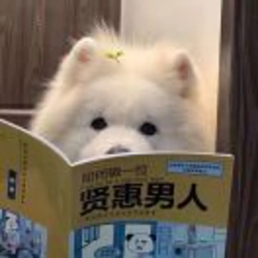 蝙蝠侠的头像