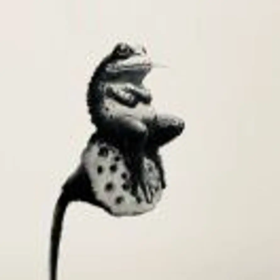 ꪶ c_的头像