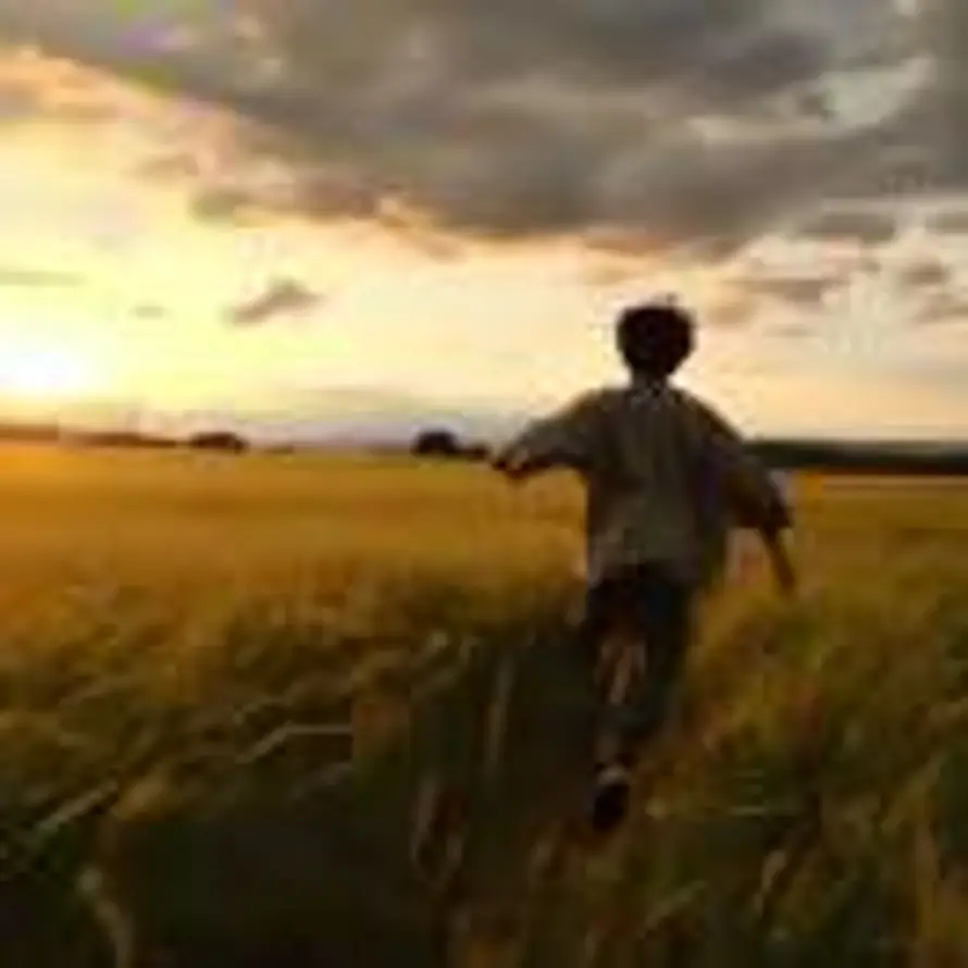 Sunburst的头像