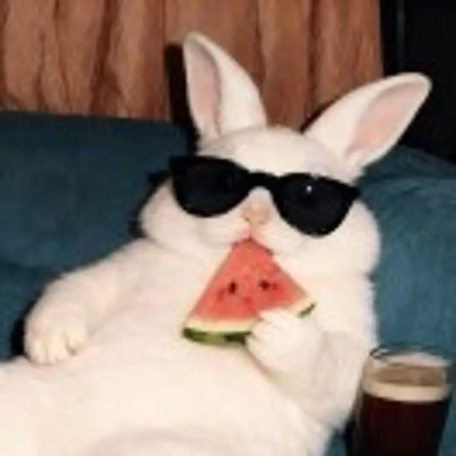 😸的头像