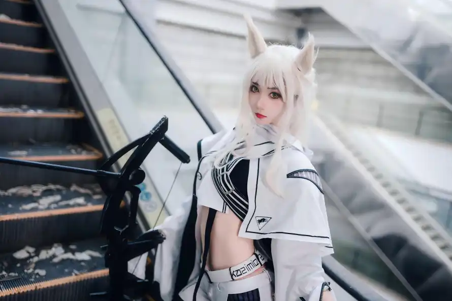4k兽耳壁纸 - 白金 - 银发 - cos「哲风壁纸」