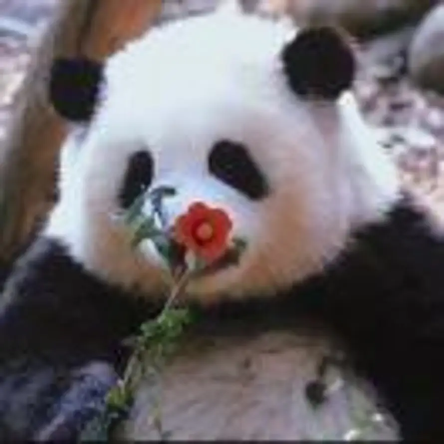 -QwQ-的头像
