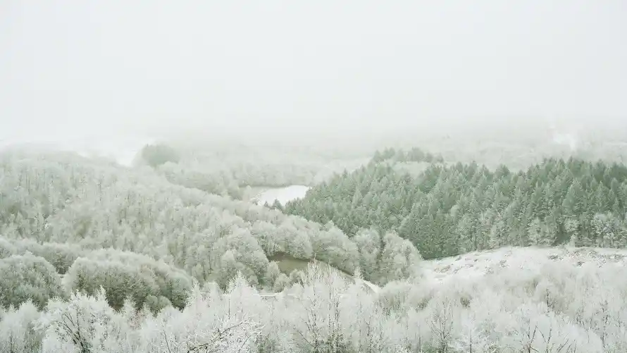 3k冬季壁纸-冷色调和风景-免费下载「哲风壁纸」
