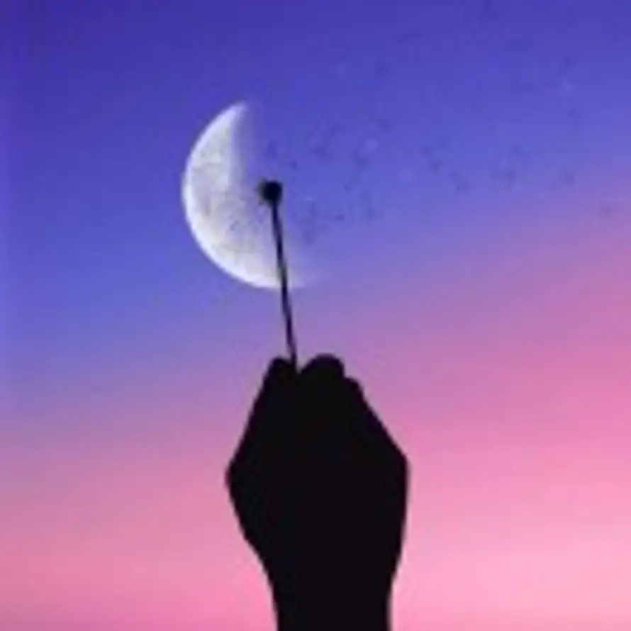 白杨的头像