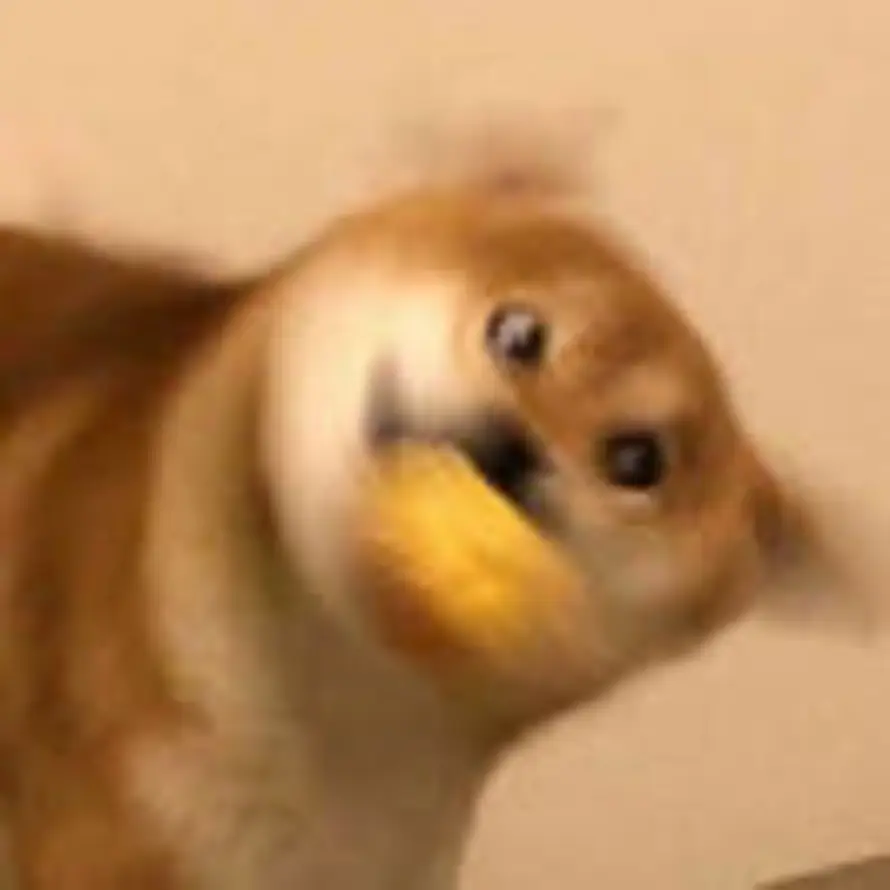 W的头像