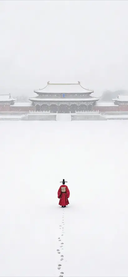 最喜欢的图像
