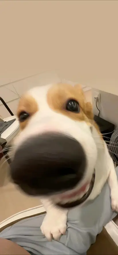 主题背景图片