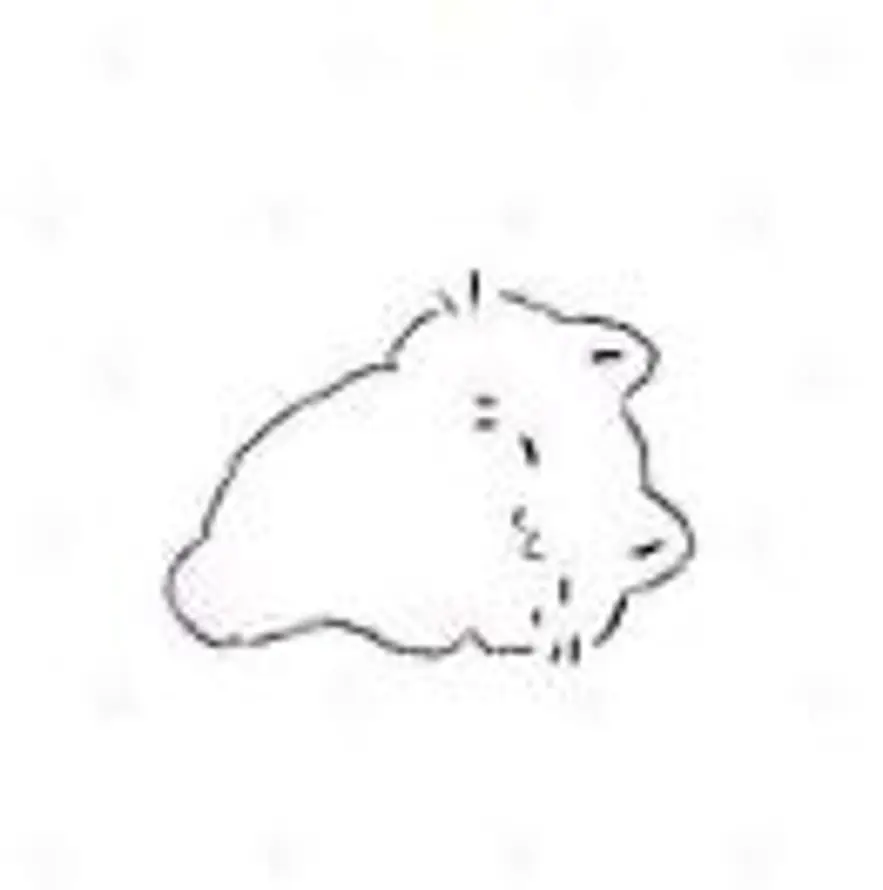 ଳ的头像