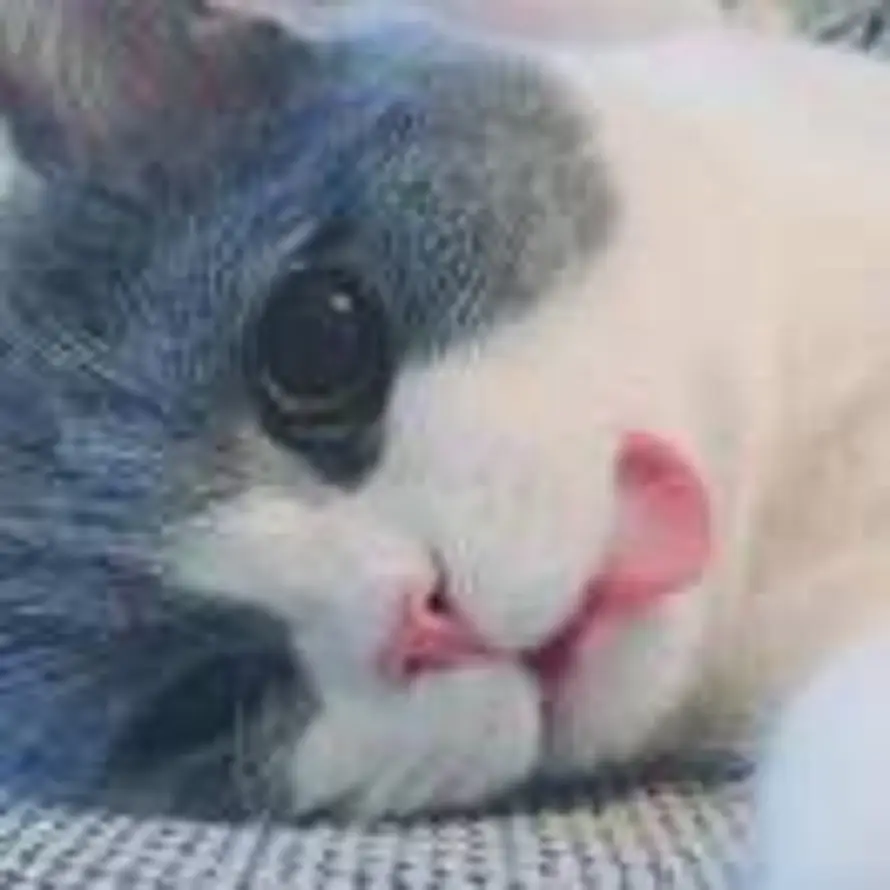 陈晓的头像