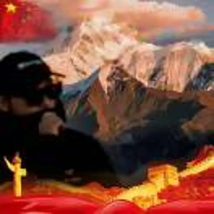 猫的树的头像