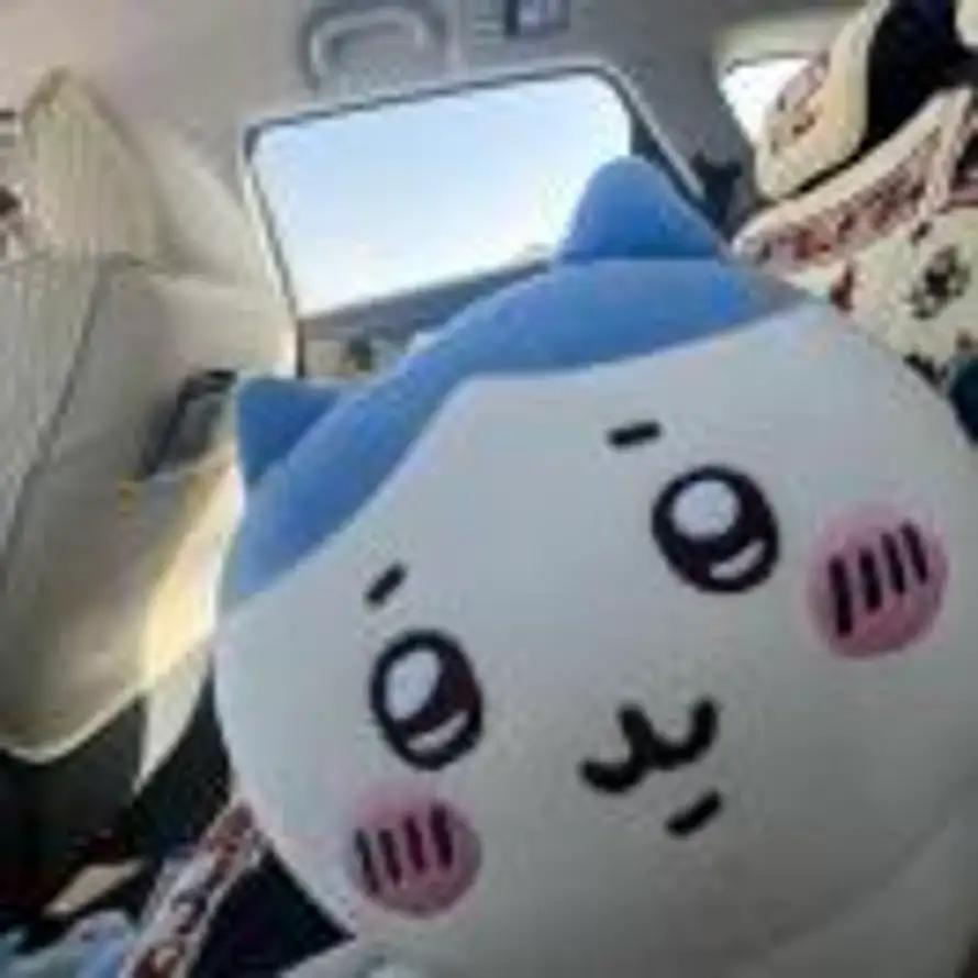 Merlot的头像