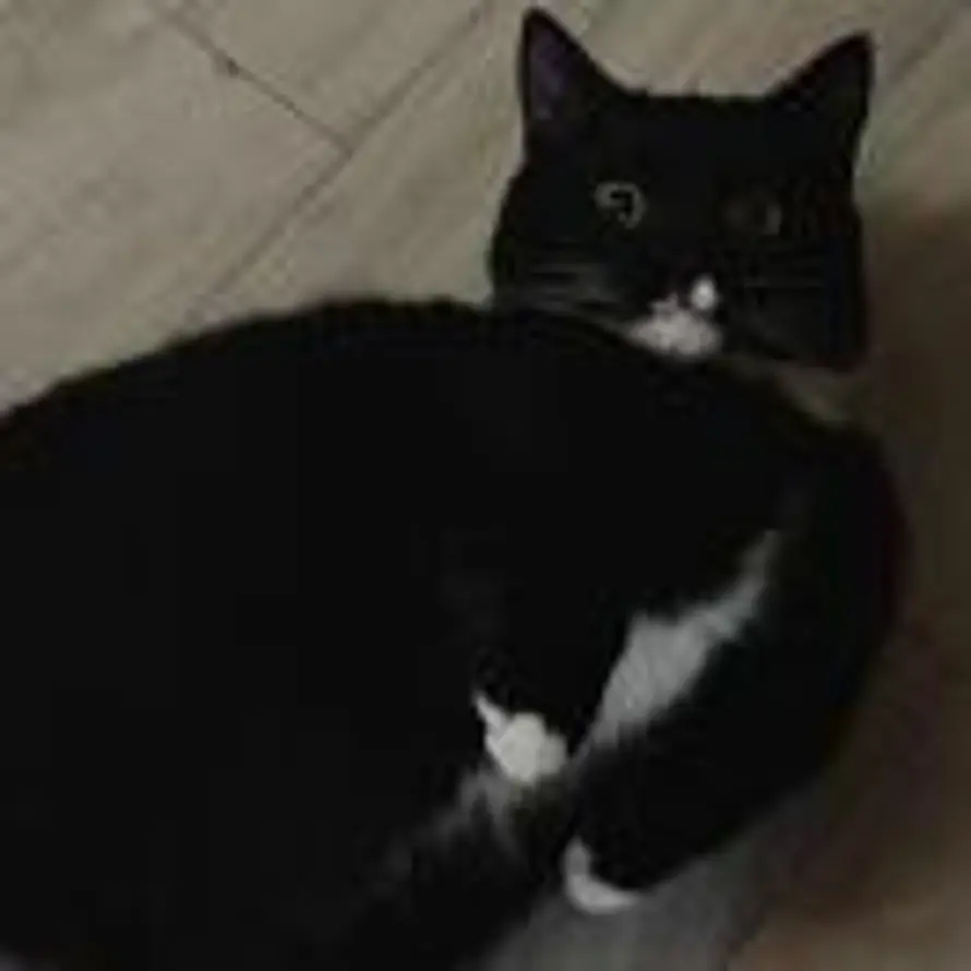 lluEa3t的头像