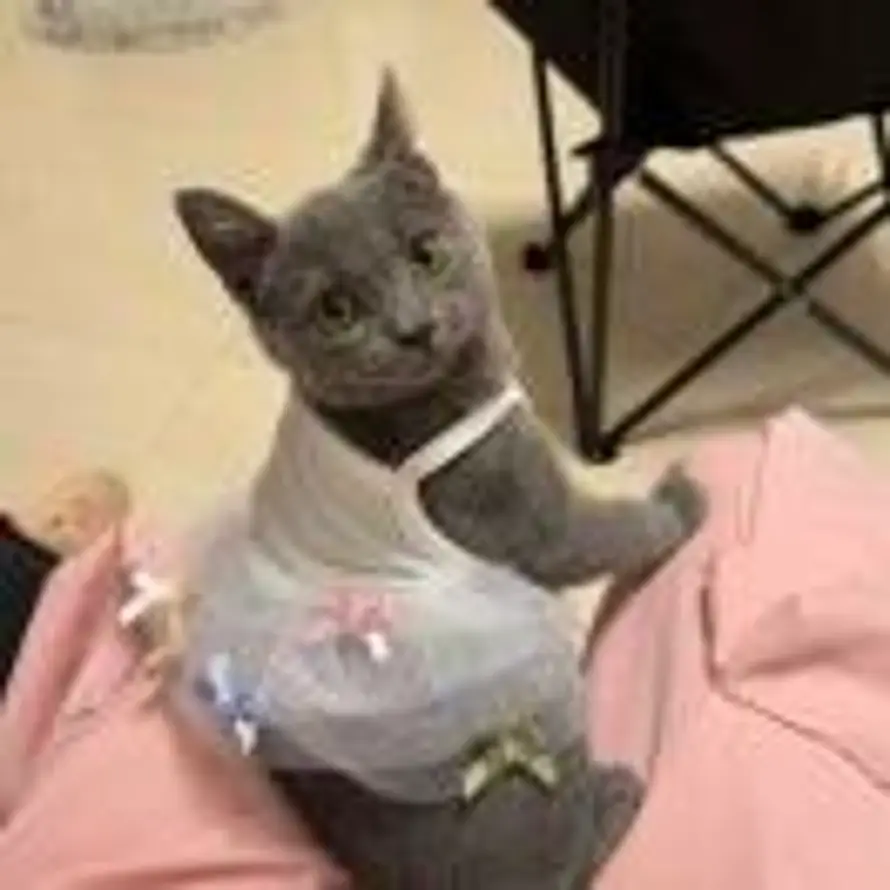 藤蔓的头像