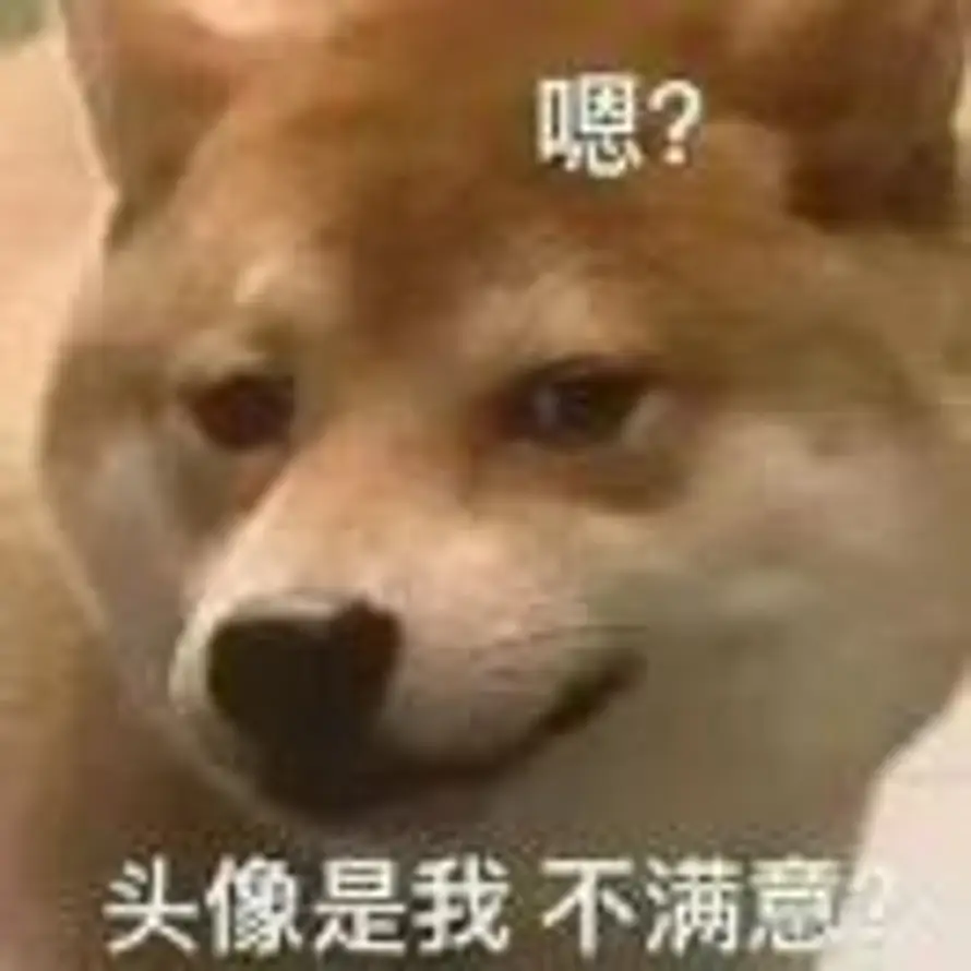 Owl的头像