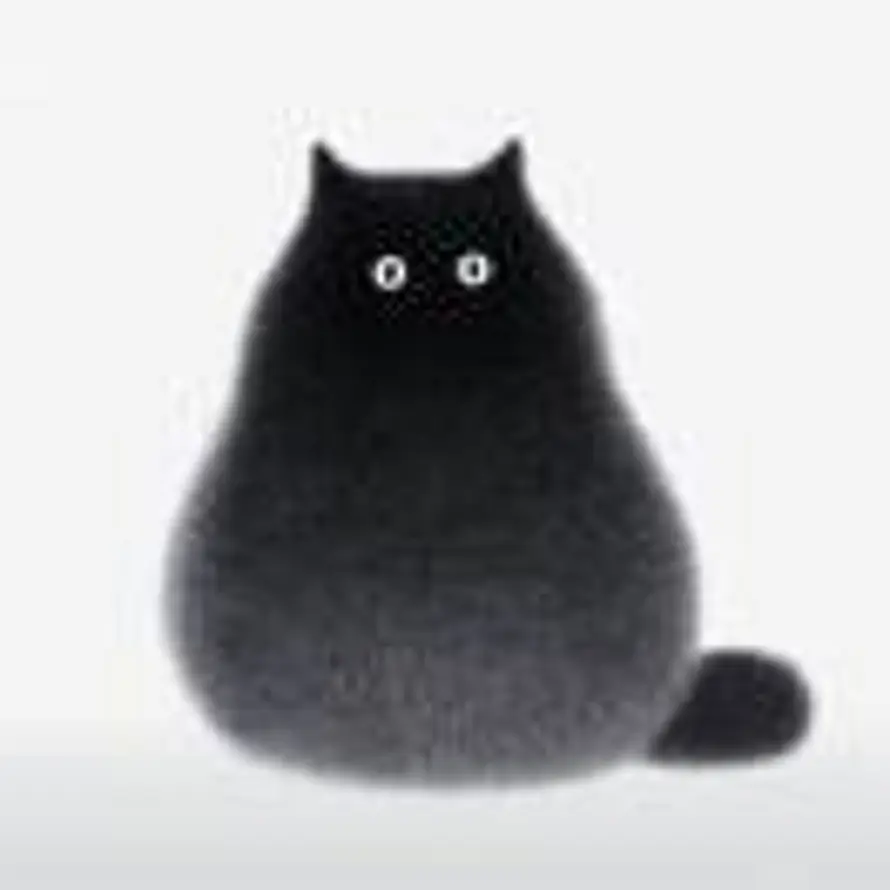 喵君。的头像
