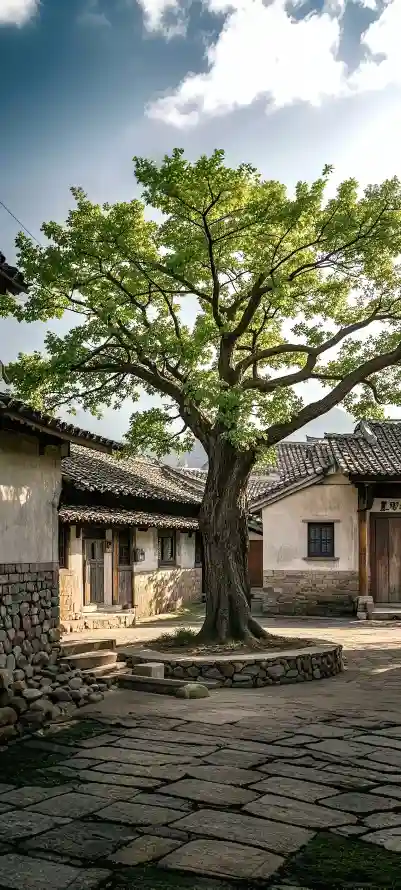 4k乡村壁纸 - 古树 - 庭院 - 晴天「哲风壁纸」