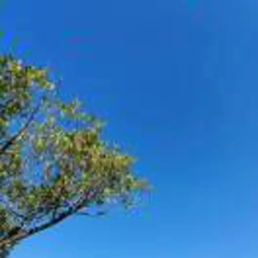 Ouwen的头像