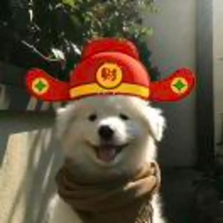 猫猫虫的头像