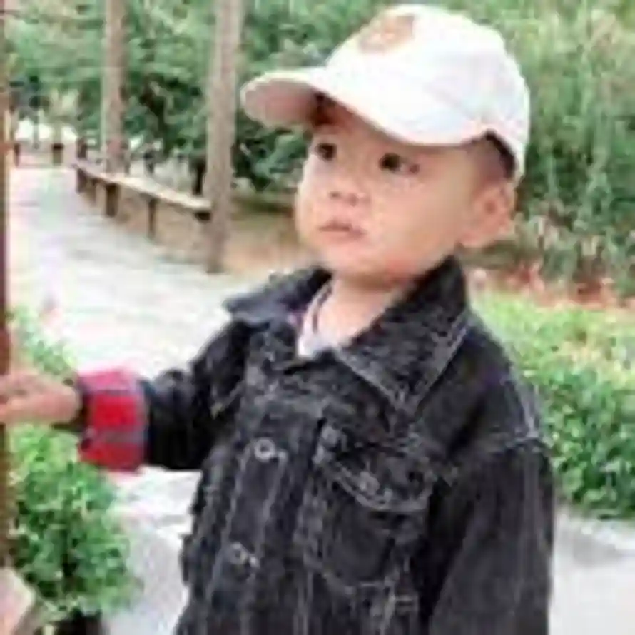 杨文辉的头像