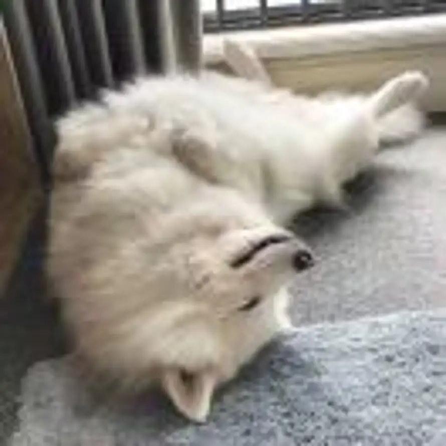 .的头像