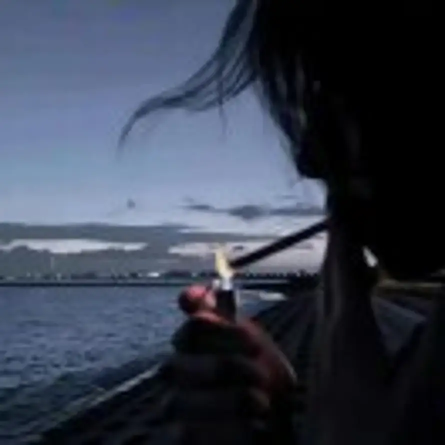 紫啸鸫的头像