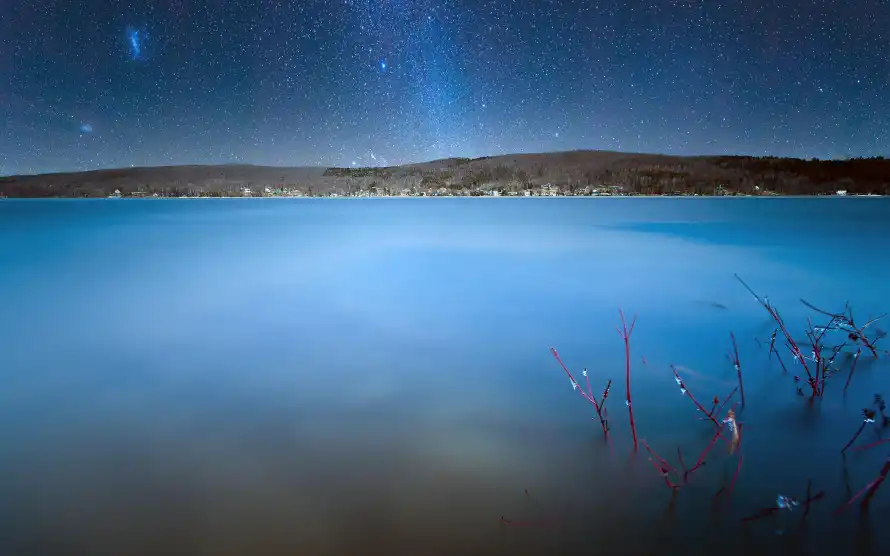 3k壁纸壁纸-水生植物与夜景-自然景观免费下载「哲风壁纸」