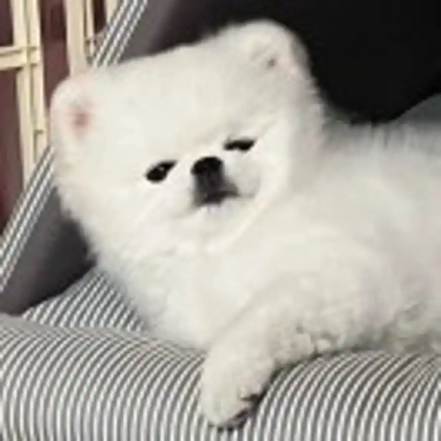 ！的头像