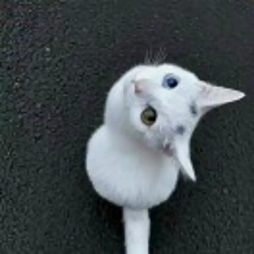 weii的头像