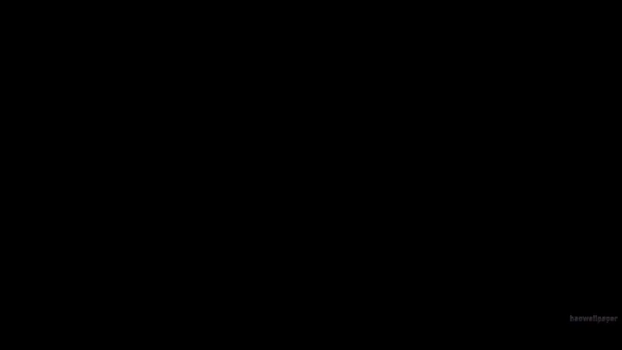 最喜欢的图像