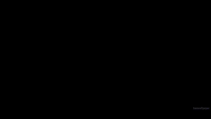 最喜欢的图像
