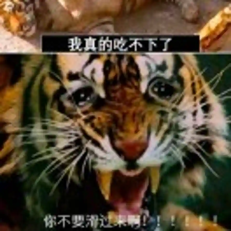 寄了的头像