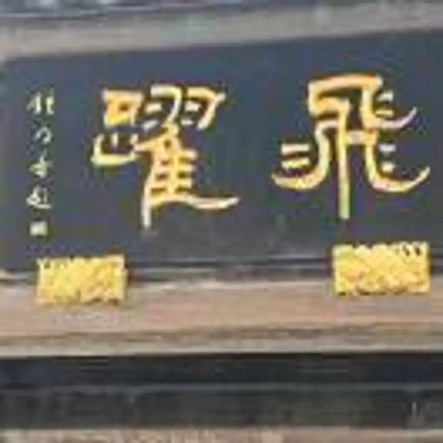 🥥的头像