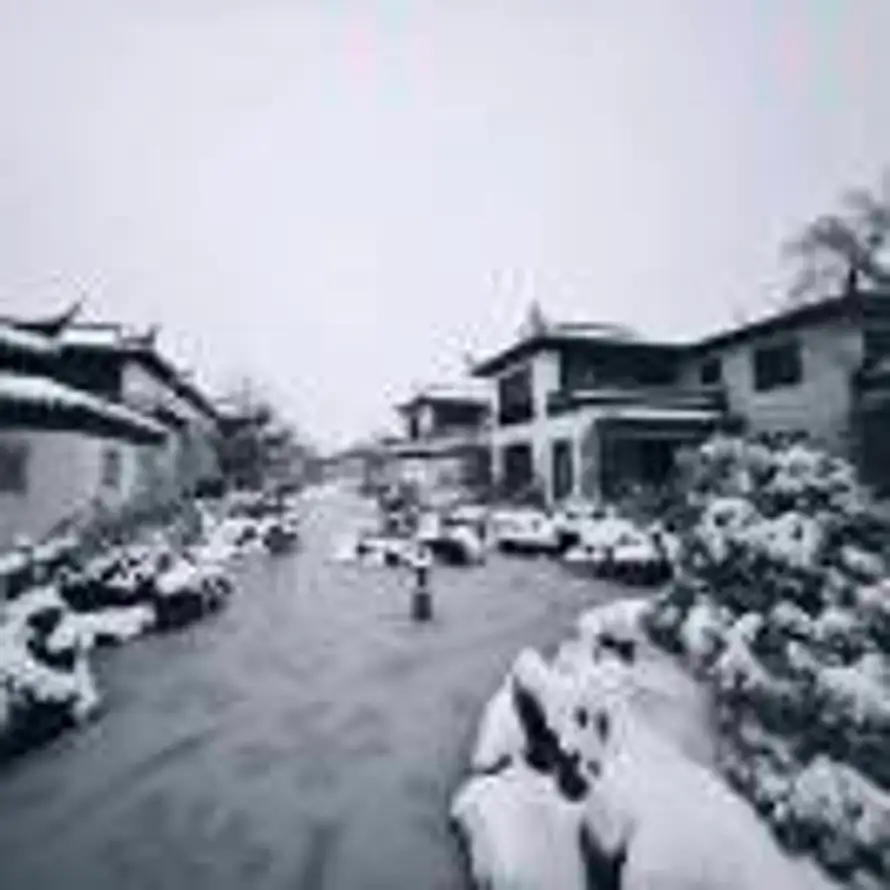 易鑫的头像