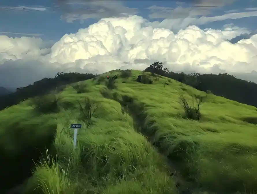 4k天空壁纸-大草原 - 宁静-油画风格壁纸分享「哲风壁纸」