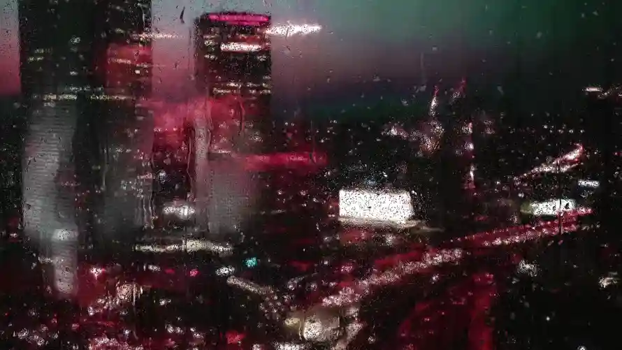 最喜欢的图像