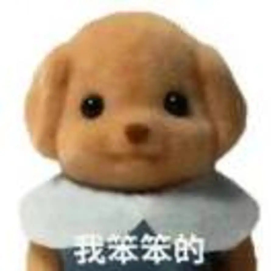 喜东东的头像