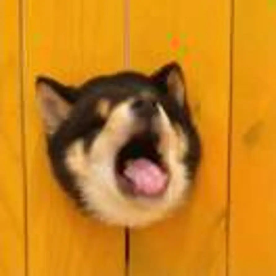 Like的头像