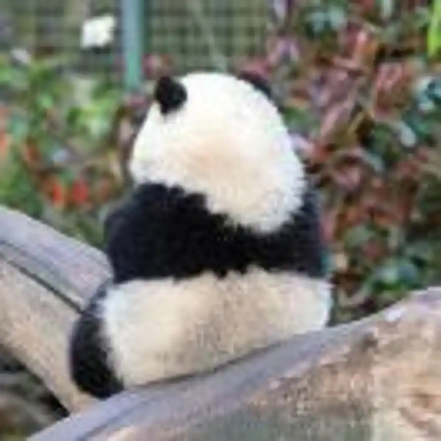 xxvioT的头像