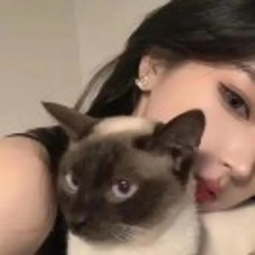 一眼心动的头像