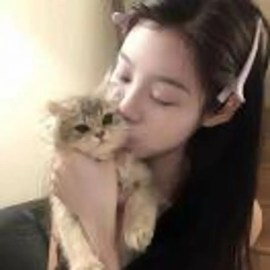 🐈的头像