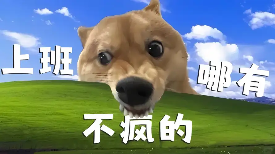 2k上班壁纸-绿草地 - 狗-Windows「哲风壁纸」