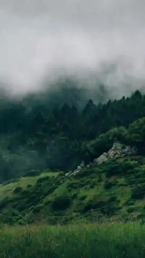 主题背景图片